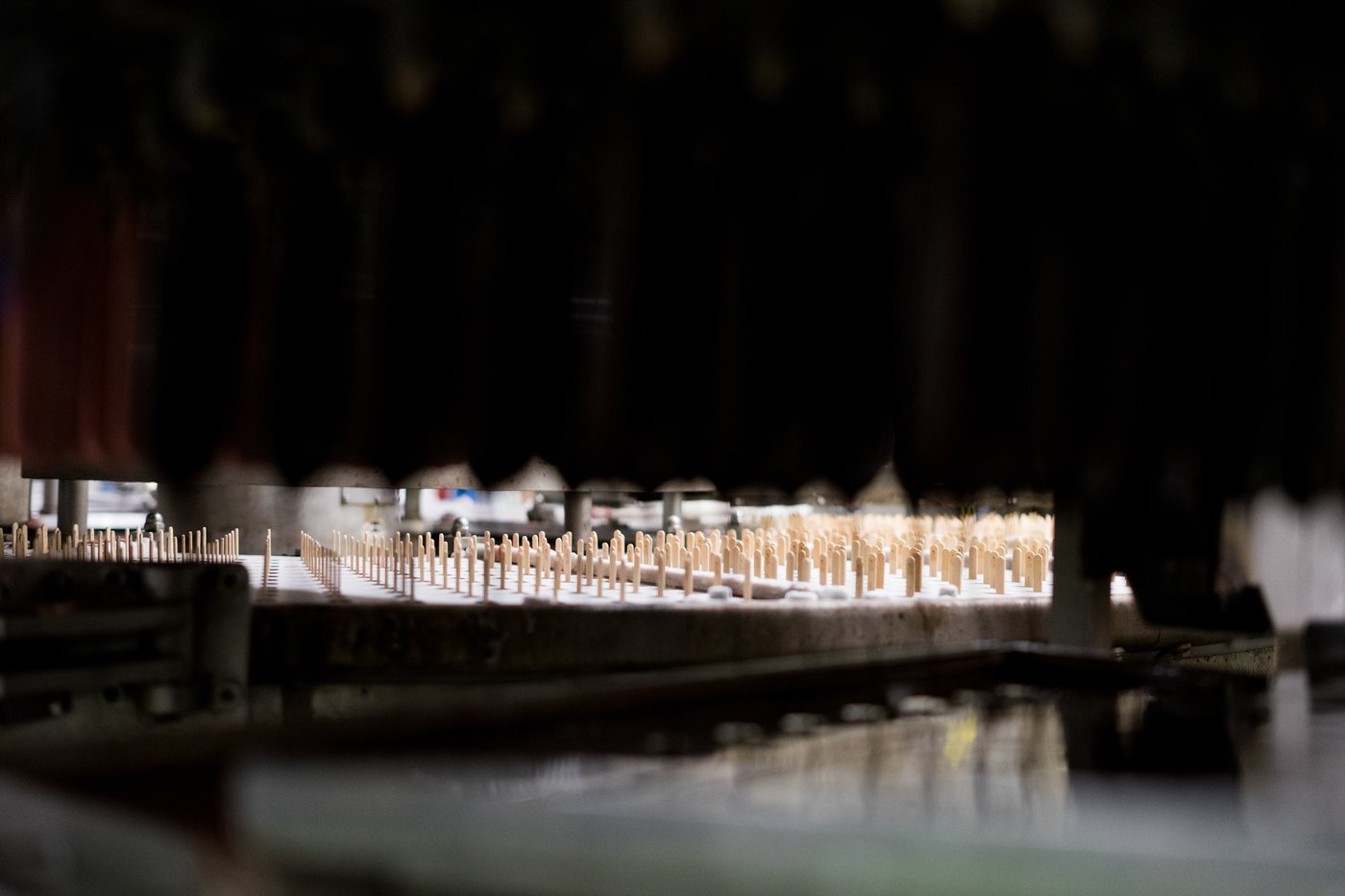 Rows of wooden ice-lolly sticks on a factory production line