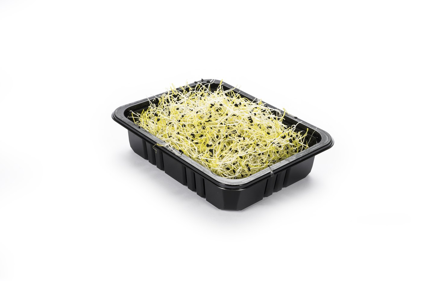 A packaged tray of bean sprouts on a white background