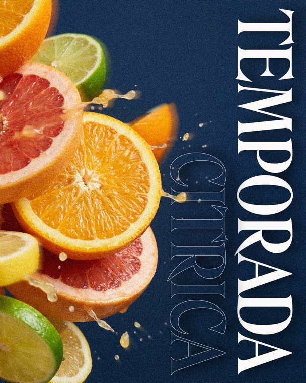 Bidfood Instagram post — 1CITRICA