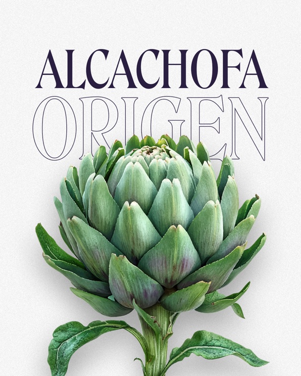 Bidfood Instagram post — Alcachofa
