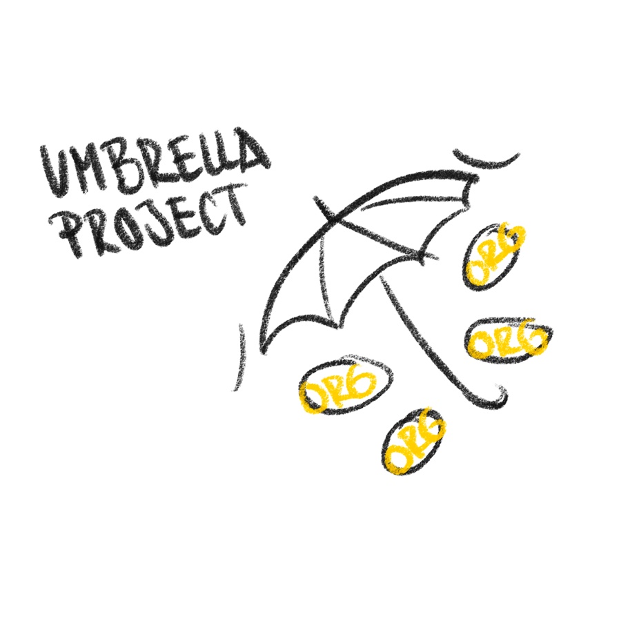 Concept sketch — the 'umbrella project': an umbrella sheltering member organisations
