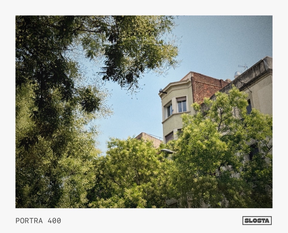 A photograph shot and developed with SloSta, framed with its film stock