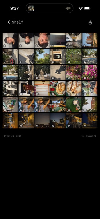 SLOSTA contact sheet — the 'Shelf' view of a developed Portra 400 roll, all 36 real frames revealed together in a grid