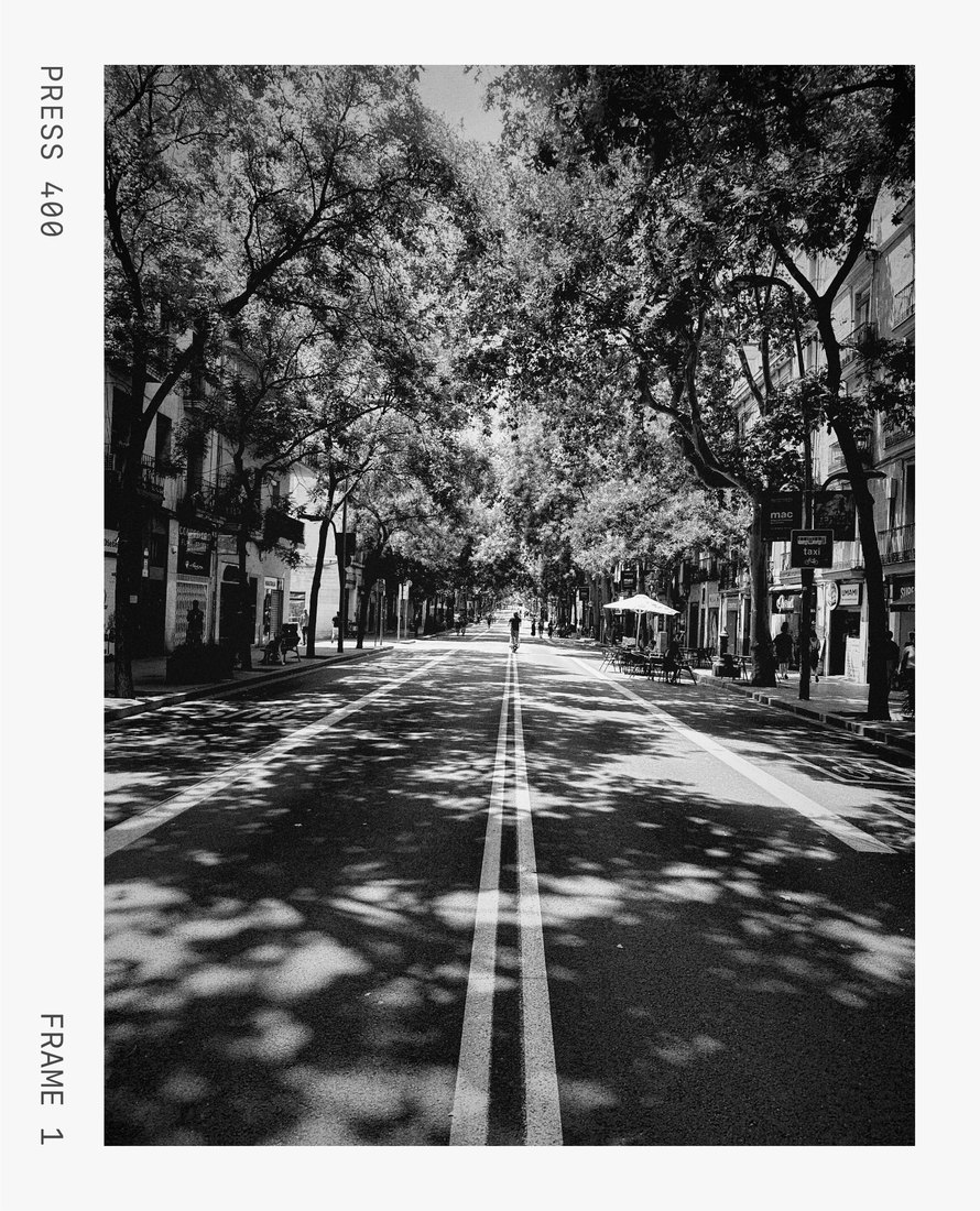 A tree-lined city street with a cyclist riding down the middle, black-and-white film